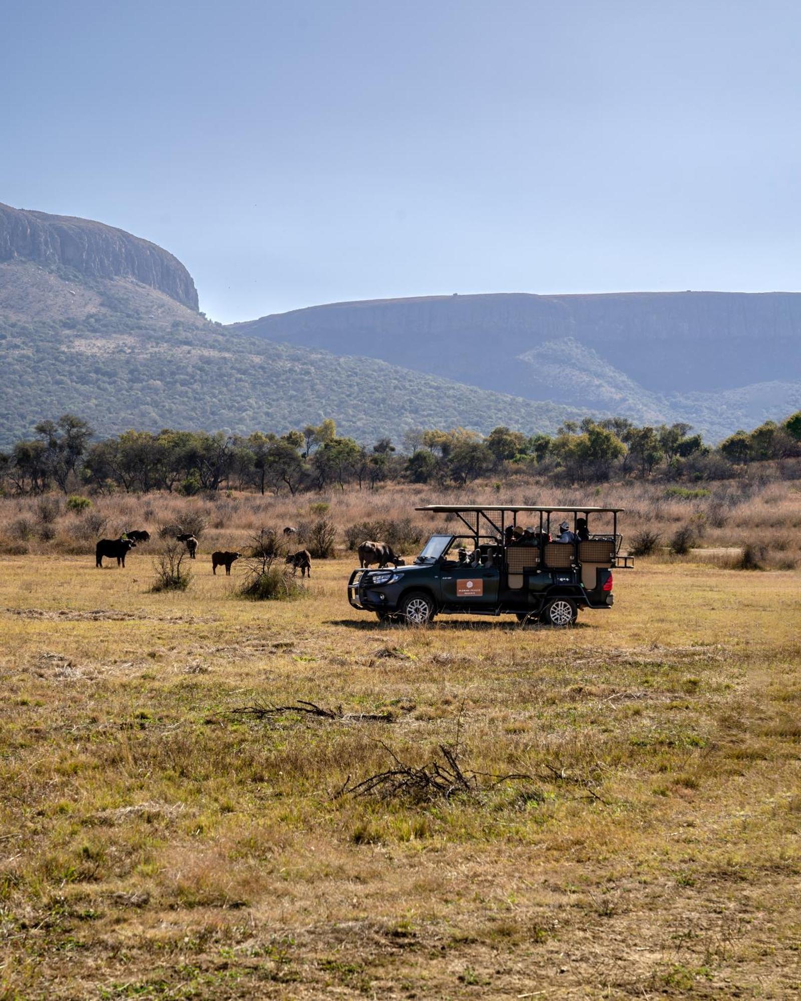 African Hills Safari Lodge & Spa Magaliesburg Ngoại thất bức ảnh